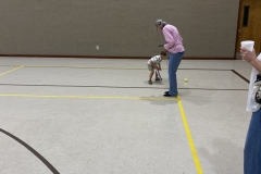 Friday-Night-Game-Night-Crowns-a-New-MVP1753286535